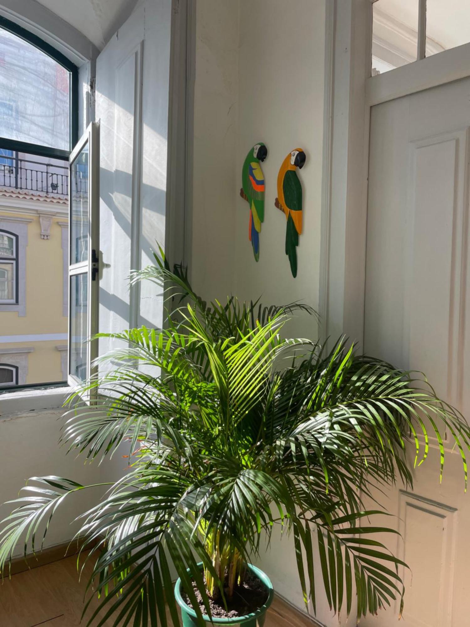 Chiado Home リスボン エクステリア 写真